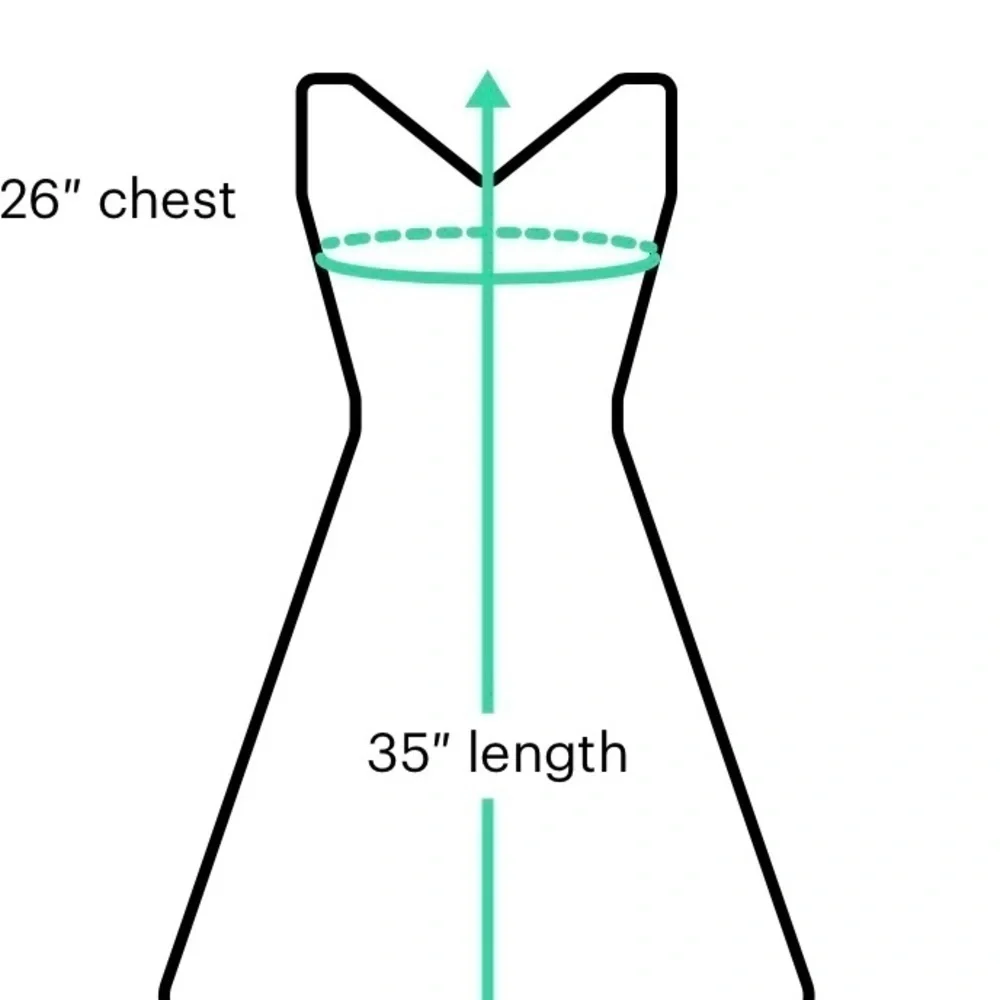 T5. Revelry Ruffle dress sm. - Picture 6 of 6